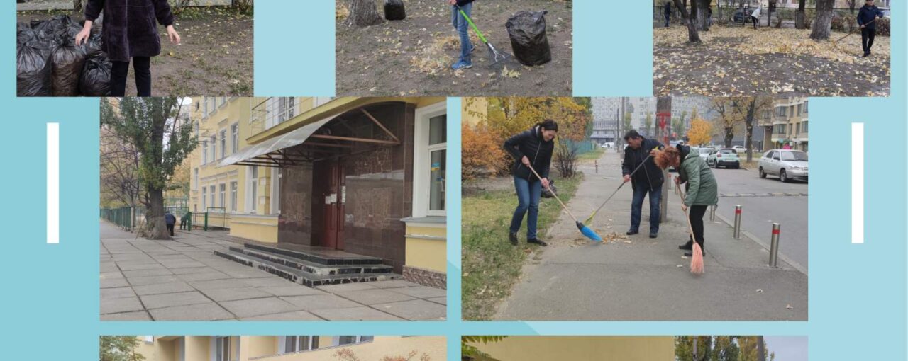 Осіння толока в ліцеї №208 м.Києва