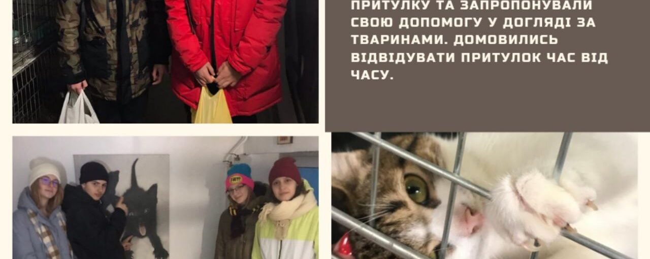 Відвідування притулку для тварин