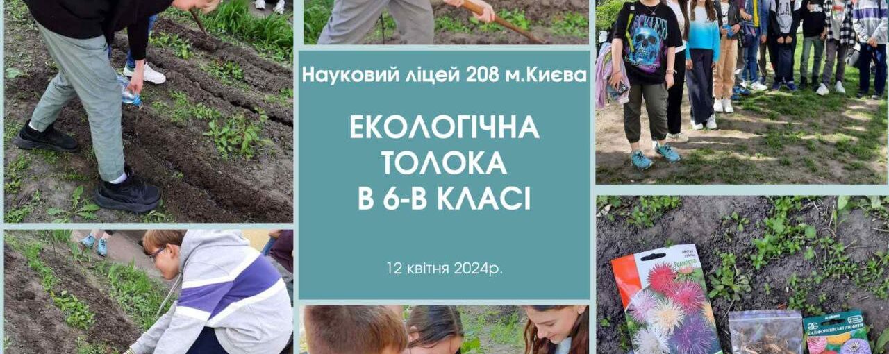 Екологічна толока в 6-В класі