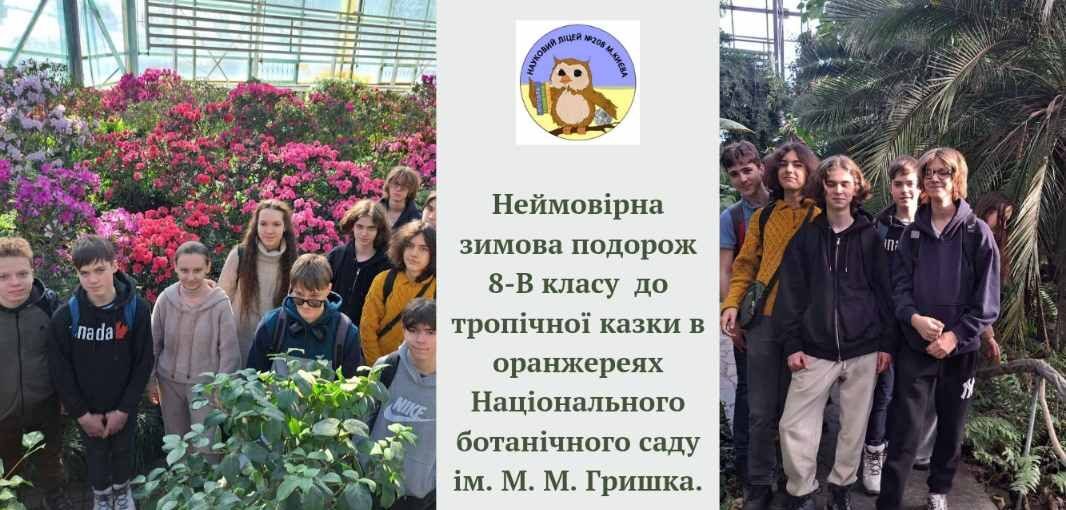 Неймовірна зимова подорож до тропічної казки